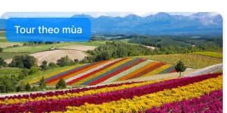 Top 7 điểm đến đẹp nhất mùa hè 2026 không thể bỏ lỡ