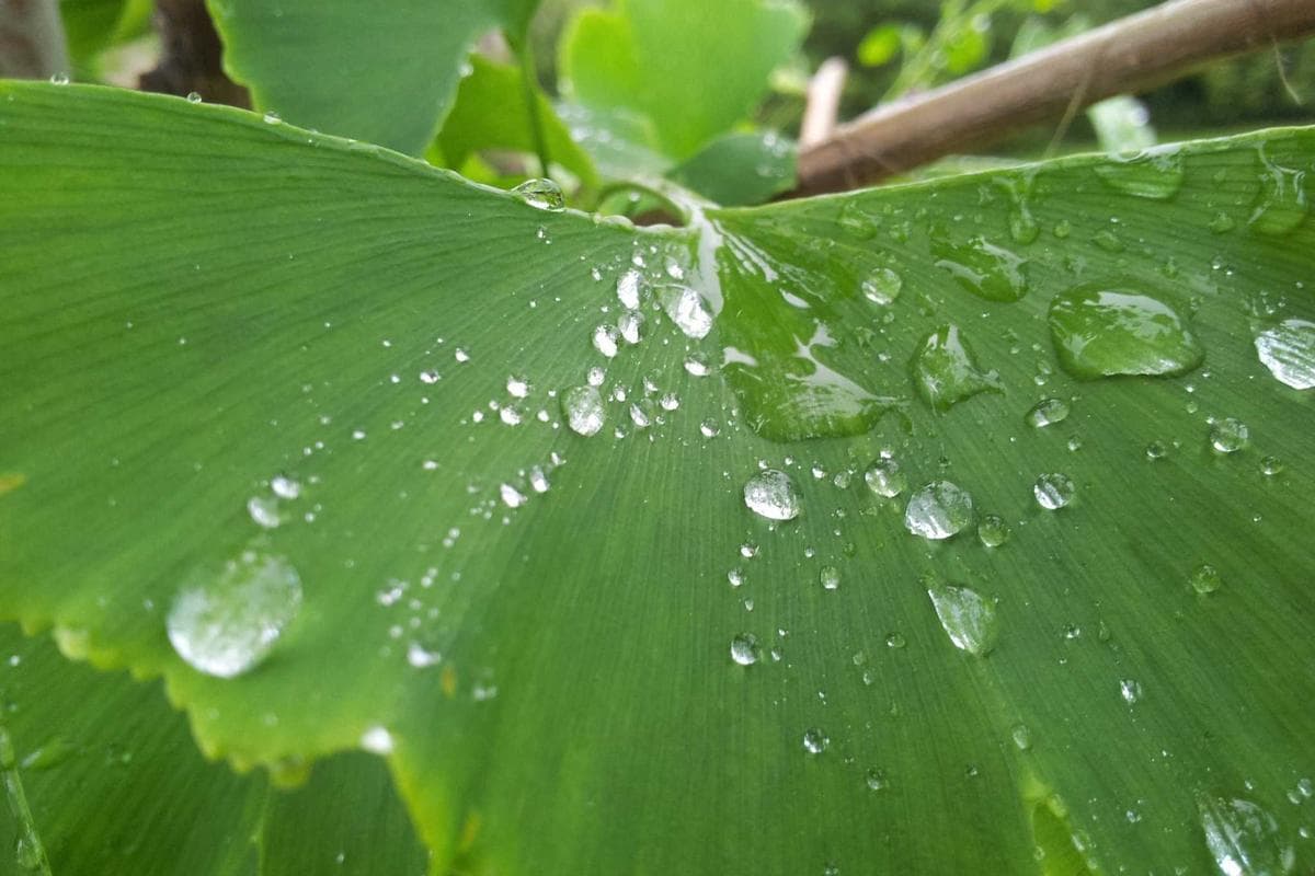 Ngày 7: Khám phá Cung điện Alhambra